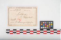 Etikett zu Bronzeröhrchen (NHMW-PRAE-025934)
